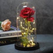 Mothers Day Wedding Favors Bridesmaid Gift Immortal Simulation Rose Glass Cover Luminous Led Ornament - TRADINGSUSAEMothers Day Wedding Favors Bridesmaid Gift Immortal Simulation Rose Glass Cover Luminous Led OrnamentTRADINGSUSA