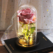 Mothers Day Wedding Favors Bridesmaid Gift Immortal Simulation Rose Glass Cover Luminous Led Ornament - TRADINGSUSAEMothers Day Wedding Favors Bridesmaid Gift Immortal Simulation Rose Glass Cover Luminous Led OrnamentTRADINGSUSA