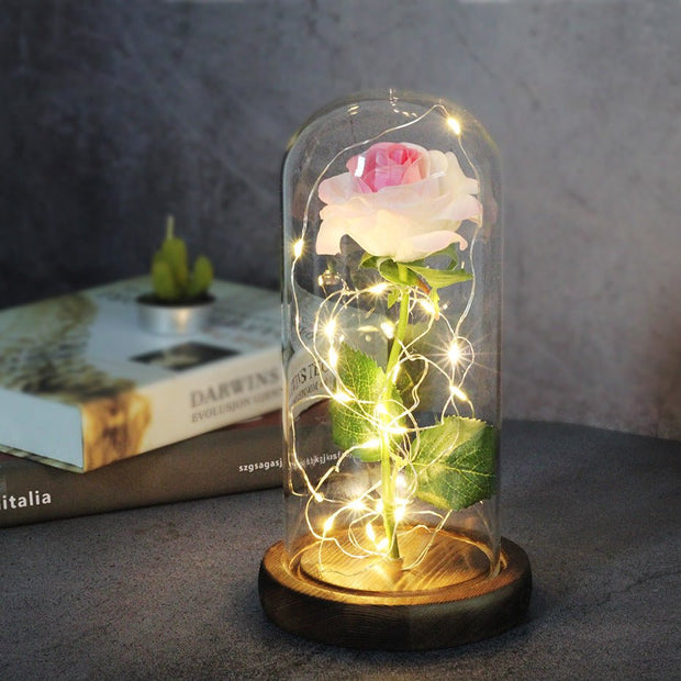 Mothers Day Wedding Favors Bridesmaid Gift Immortal Simulation Rose Glass Cover Luminous Led Ornament - TRADINGSUSAKMothers Day Wedding Favors Bridesmaid Gift Immortal Simulation Rose Glass Cover Luminous Led OrnamentTRADINGSUSA