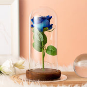 Flannelette Rose Lamp Glass Cover Immortal Flower - TRADINGSUSABlueFlannelette Rose Lamp Glass Cover Immortal FlowerTRADINGSUSA