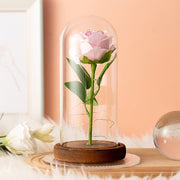 Flannelette Rose Lamp Glass Cover Immortal Flower - TRADINGSUSAPinkFlannelette Rose Lamp Glass Cover Immortal FlowerTRADINGSUSA