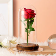 Flannelette Rose Lamp Glass Cover Immortal Flower - TRADINGSUSARedFlannelette Rose Lamp Glass Cover Immortal FlowerTRADINGSUSA
