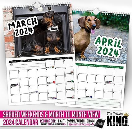 2024 Cheeky Sausage Dog Calendar Funny - TRADINGSUSA2024Sausage Dog Calendar2024 Cheeky Sausage Dog Calendar FunnyTRADINGSUSA