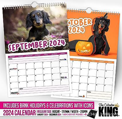 2024 Cheeky Sausage Dog Calendar Funny - TRADINGSUSA2024Sausage Dog Calendar2024 Cheeky Sausage Dog Calendar FunnyTRADINGSUSA