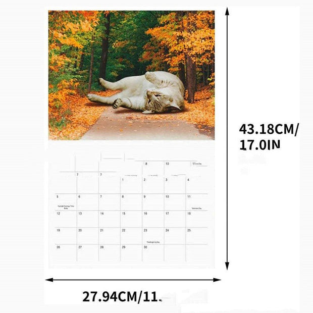 Cat Paper Calendar Interesting 2024 - TRADINGSUSA202421x14x1cmCat Paper Calendar Interesting 2024TRADINGSUSA
