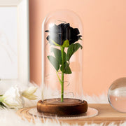 Flannelette Rose Lamp Glass Cover Immortal Flower - TRADINGSUSABlackFlannelette Rose Lamp Glass Cover Immortal FlowerTRADINGSUSA